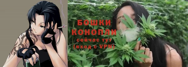 мдпв Дмитриев
