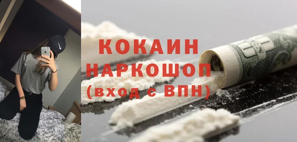мдпв Дмитриев