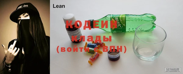мдпв Дмитриев