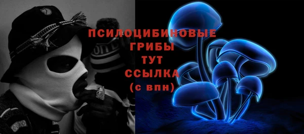 бошки Дмитров