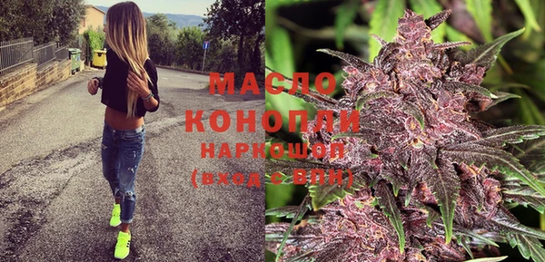 мдпв Дмитриев
