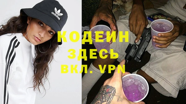 мдпв Дмитриев