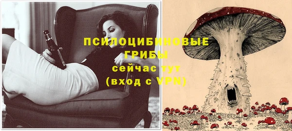 бошки Дмитров