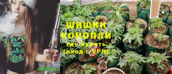 амф Дмитровск